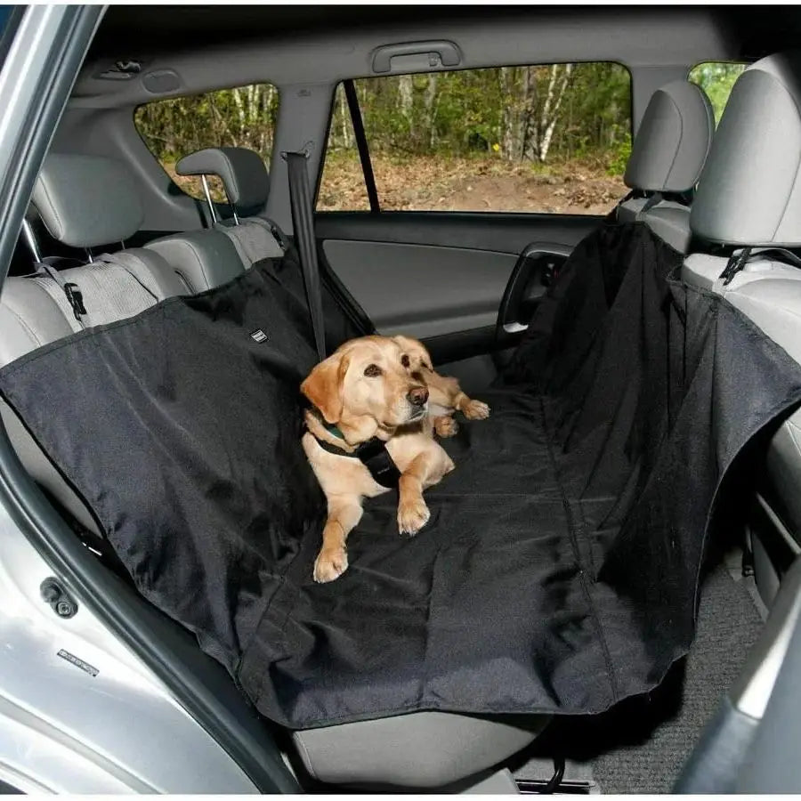 Blanket Pup Travel Pad
