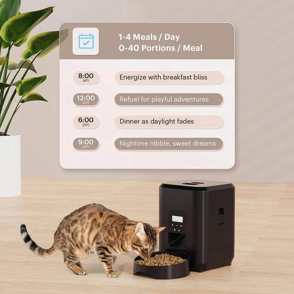 Automatic Cat Feeder