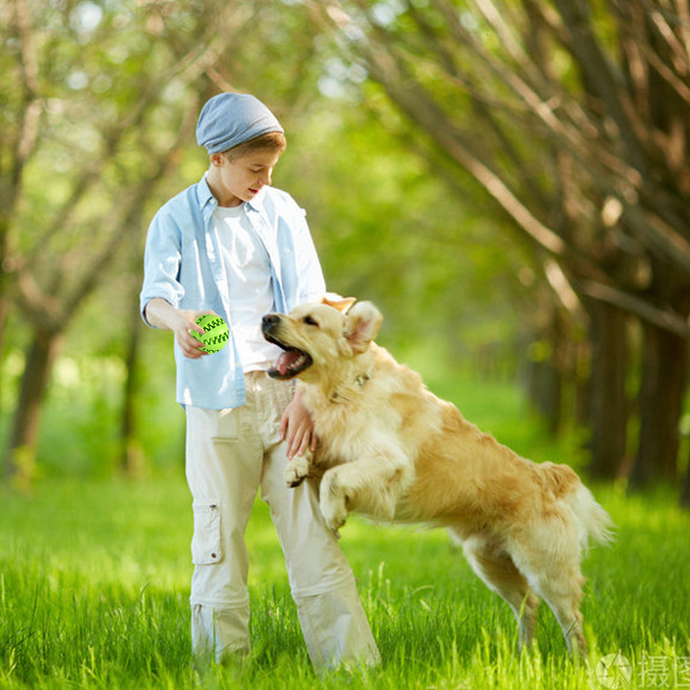 Interactive Rubber Chewing Tooth Cleaning Pet Balls - Catchy Goods® 