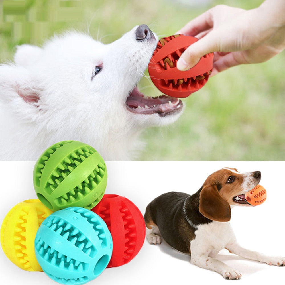 Interactive Rubber Chewing Tooth Cleaning Pet Balls - Catchy Goods® 