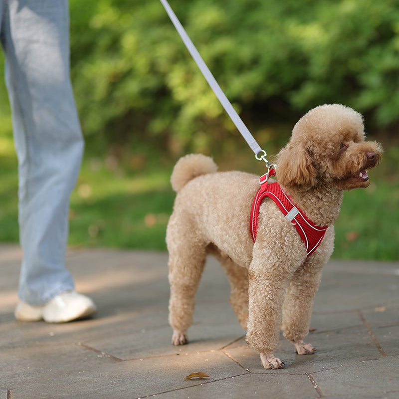 Adjustable Pet Harness Leash Set