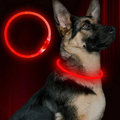 LED Dog Collar