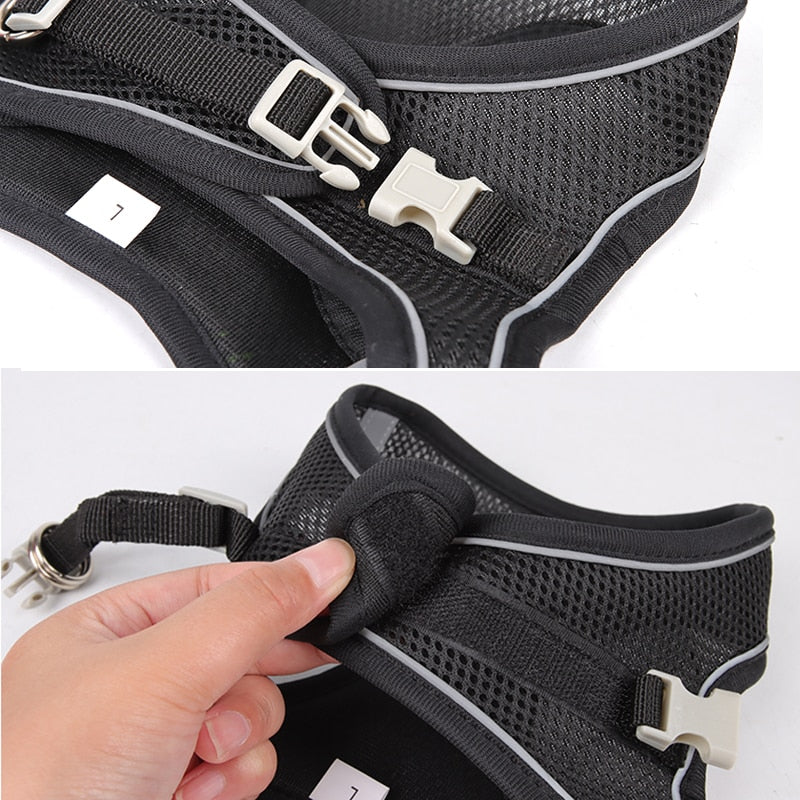 Adjustable Pet Harness Leash Set