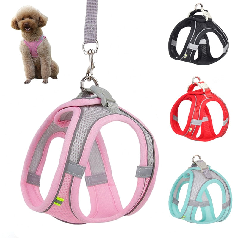 Adjustable Pet Harness Leash Set