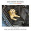 Blanket Pup Travel Pad
