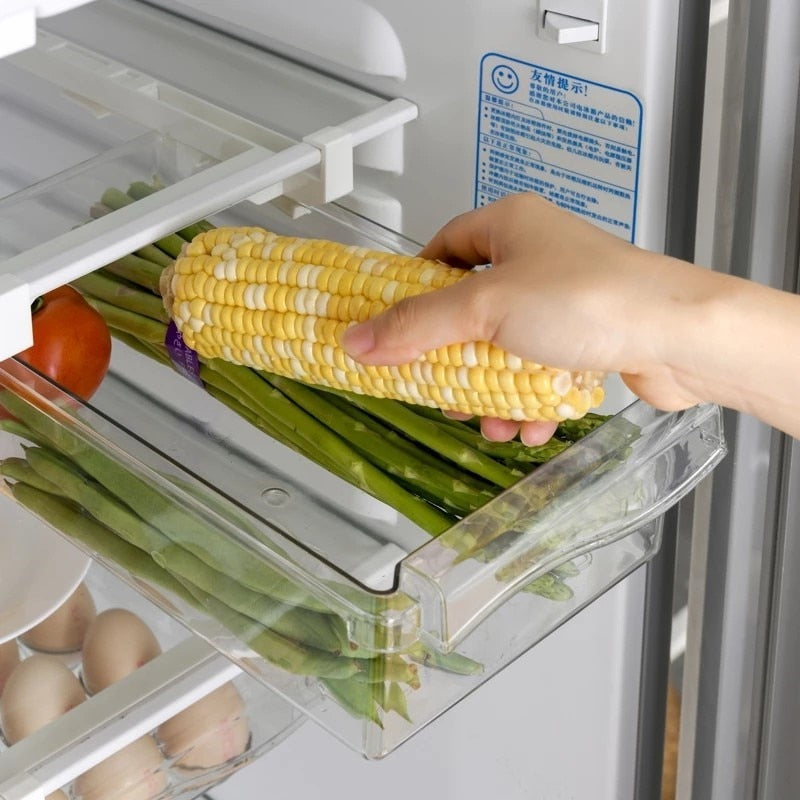 Plastic Clear Fruit Food Storage Box Fridge Organizer - Catchy Goods® 