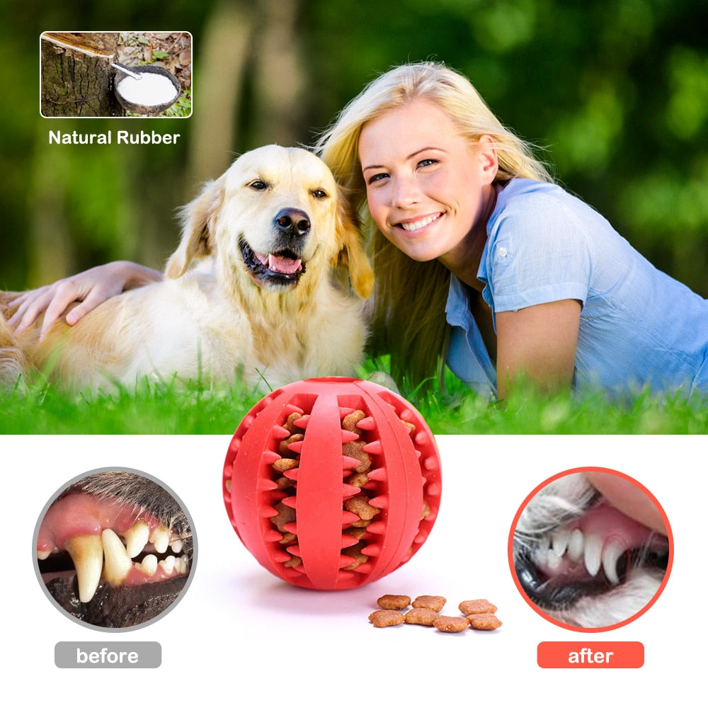 Interactive Rubber Chewing Tooth Cleaning Pet Balls - Catchy Goods® 