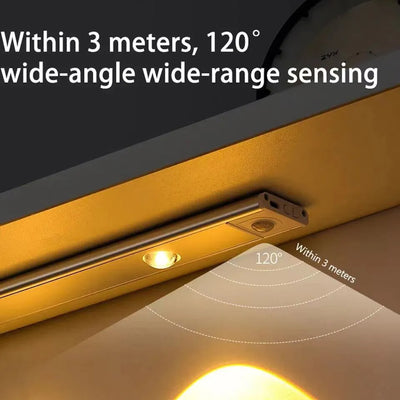 Motion Sensor LED Light