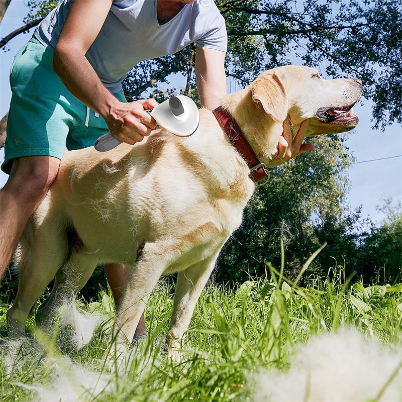 Stainless Steel Hair Removal Pet Brush - Catchy Goods® 