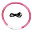LED Dog Collar